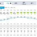 내일 (4.20일) 태안 신두리 날씨 예보입니다. 이미지