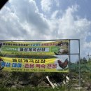 북상면-32 | 대구 근교 거창 월성계곡산장 텐트 평상 대여