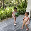 아남농장 이미지