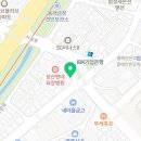 여왕곰장어 이미지