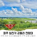 파주디엠지평화곤돌라 주식회사 | 임진각 곤돌라 할인 신분증 지참 필수! 파주 DMZ 전망대 방문 후기