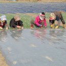 우리집농장 이미지