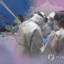 샤이나 오피스텔 이미지