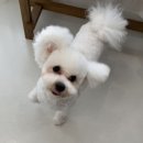 바스인더썬 이미지