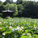 향교농장 이미지