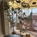 한류월드로+월드고양로 이미지