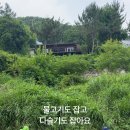 탐선계곡 유원지
