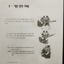 엘솔기타