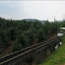 동문로 R 이미지