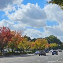 금강산면옥본점 앞 | 광주월드컵경기장 근처 한식 맛집 다담골면옥 본점 후기