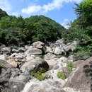 느티나무야영장 이미지