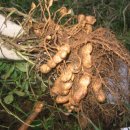 봉서농장 이미지