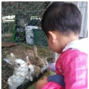 준서농장 이미지