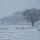 시골풍경 이미지