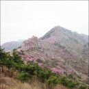 영취산(진례산 510m)~ 야이! 여수 영취산이 훨훨 불탄다이!~진달래 산행* 2010.4.10토.* 이미지