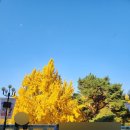 지에스25 광진아차산역점 | [25년 11월] 뮤지컬 &lt;레드북&gt; 관람 후기 &amp; 행복했던 김성식 배우님 퇴근길 💕