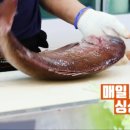야은로-8 이미지