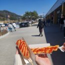 25.04.11-04.12 반디하우스 캠핑장 (벚꽃 없는 벚꽃캠)