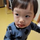 웅이아부지 이미지