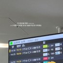 294-2 | 카카오 여행자보험 딱 4시간 지연 보상 후기 - TW294 / 240611 후쿠오카-&gt;인천행 항공기 *2탄*