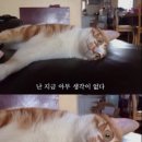 성실한사람들 이미지
