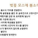 성심주유소 이미지