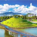 국제성지 둘레길 | 낭만적인 남도의 가을 향기! 전남의 국화꽃 만발한 감성 여행지 베스트 10