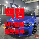[부산정관] &#39;BMW M5&#39; 택랩 전체랩핑 시공후기