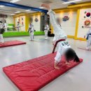 KTIGERS 태동태권도장 이미지