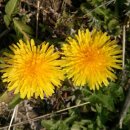 서울시 청소년수련관 이미지