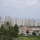 세이공인중개사사무소 이미지