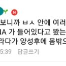 멍머리 이미지