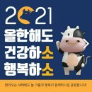 진심인공인중개사사무소 이미지