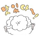 가인초밥 이미지