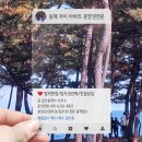 동해자이공인중개사사무소 이미지