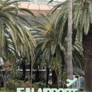 수곡로122번길(3-176) | [제주] 또주도 3박 4일 한 달 만에 또 가기