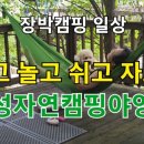 월성자연캠핑야영장 이미지
