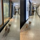 행복한 71억