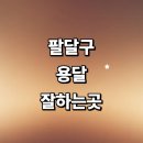 개인화물2960 | 곳 전문업체 화물용달 견적 운송 가격 다마스 대형 후기 침대 렌트 퀵서비스 소형 대여 라보용달 금액...
