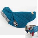 다운애견 이미지