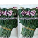 풍년농약사 이미지