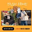라이브펫 | 강아지 이동가방 펫특가챌린지, 여름 시원하개 쇼핑라이브 !!