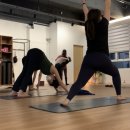 세영아쉬탕가요가 이미지