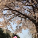 부일로83번길 이미지