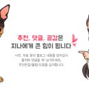 쁘띠하개 이미지