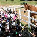 원당목장 이미지