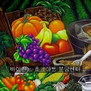 바이쟌느 이미지
