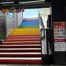 평지농장 | 제주레일바이크 제주도 동쪽 아이랑 갈만한곳 + 동물농장