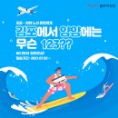플라이 이미지