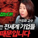 안유화 경제투자론 이미지